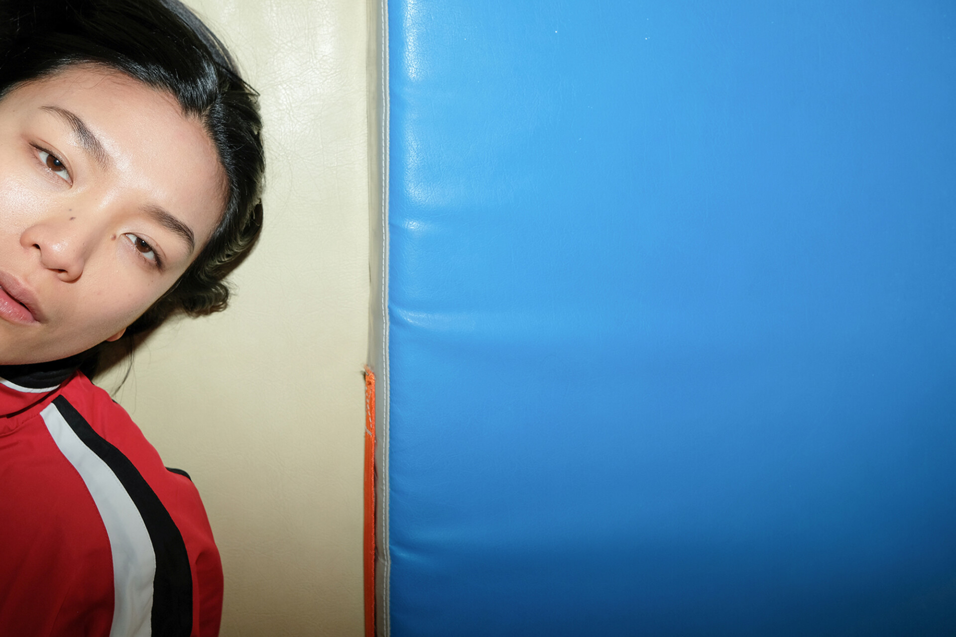 dragon moni 12 copie